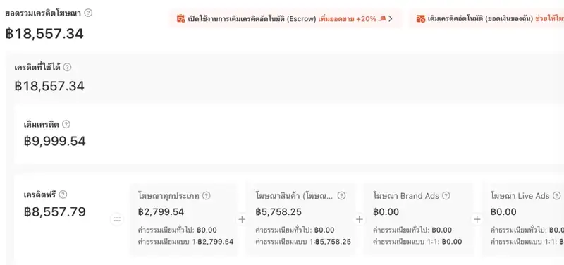 หน้าบัญชีโฆษณา แสดงเครดิตที่ใช้ได้ เติมเครดิต และเครดิตฟรี